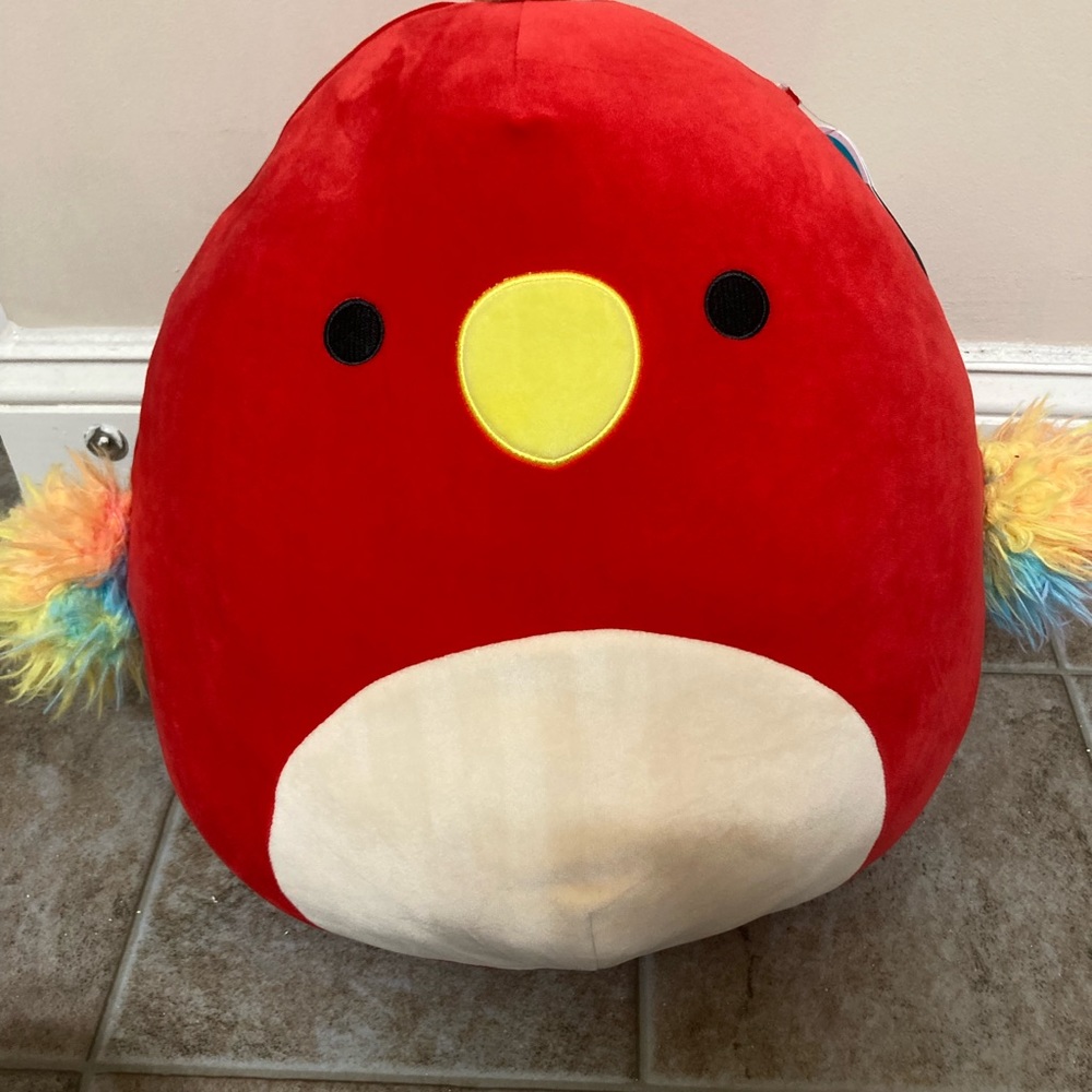 Paco the bird